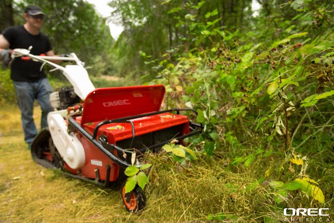 Brush and land clearing service Louisville KY